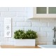 Legrand 673720 Розетка 2К+З - немецкий стандарт - 16 А - 250 В~ - INSPIRIA - белый