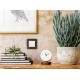 Legrand 673790 Светорегулятор поворотный без нейтрали 300Вт - INSPIRIA - белый