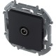 Legrand 673873 Розетка TV - оконечная - 10 дБ - 5-862 мГц - INSPIRIA - антрацит