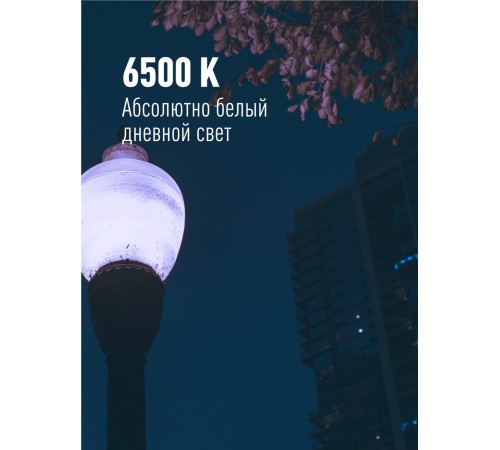 Лампа светодиодная LED 50Вт 220В Е27 D138х220 6500К дневной 4700 лм