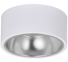 LIGHTING Светильник 4017 накладной потолочный под лампу GX53 белый/хром IEK