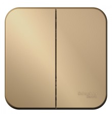 Systeme electric BLNVA105014 BLANCA О/У 2-клавишный ВЫКЛЮЧАТЕЛЬ ( c х .5) ИЗОЛ.ПЛ., 10А, 250B, ТИТАН