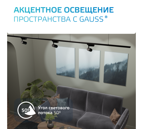 Светильник светодиодный трековый однофазный LED ДПО 8 Вт 600 Лм 4000К IP20 d59х164 мм Track Gauss Gauss TR089 Светильник светодиодный трековый однофазный LED ДПО 8 Вт 600 Лм 4000К IP20 d59х164 мм Track Gauss Gauss TR089
