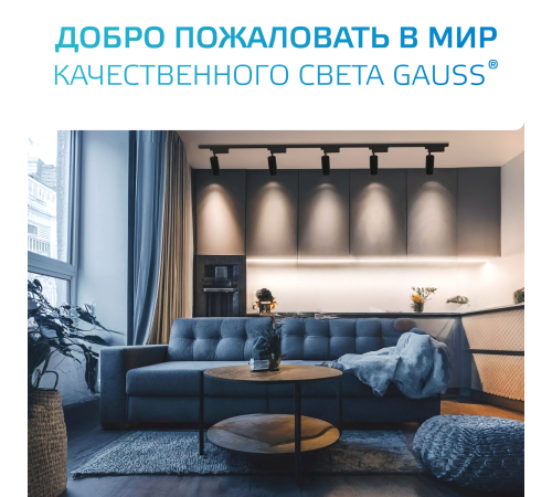 Светильник светодиодный трековый однофазный LED ДПО 24 Вт 1830 Лм 4000К IP20 d65х206 мм Track Gauss Gauss TR086 Светильник светодиодный трековый однофазный LED ДПО 24 Вт 1830 Лм 4000К IP20 d65х206 мм Track Gauss Gauss TR086