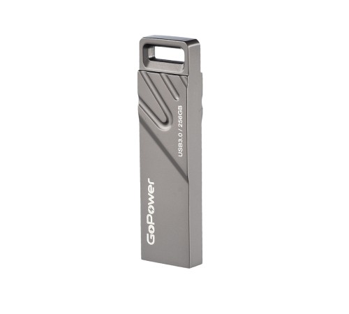 Флеш-накопитель GoPower 00-00027356