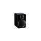 Wharfedale DS-2. Цвет: Черный  [Black]