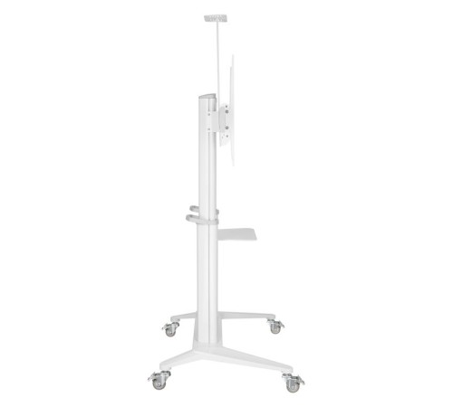 Digis DSM-P7106C {55"-100" 140 кг 200x200, 400x200, 300x300, 400x400, 600x400, 800x400, 800x600, 1000х600}