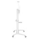 Digis DSM-P7106C {55"-100" 140 кг 200x200, 400x200, 300x300, 400x400, 600x400, 800x400, 800x600, 1000х600}