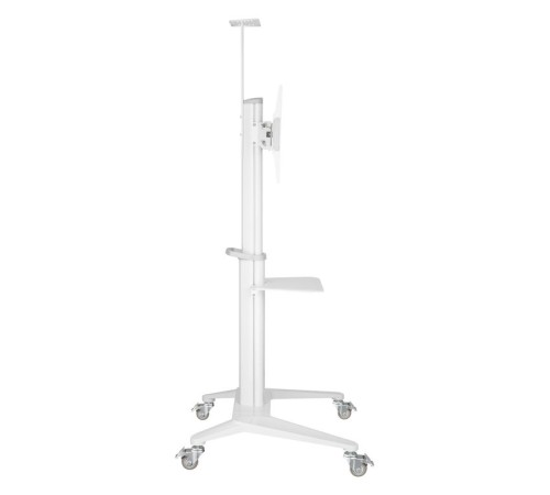 Digis DSM-P764C {34"-70" 70 кг 200x200, 400x200, 300x300, 400x400, 600x400}