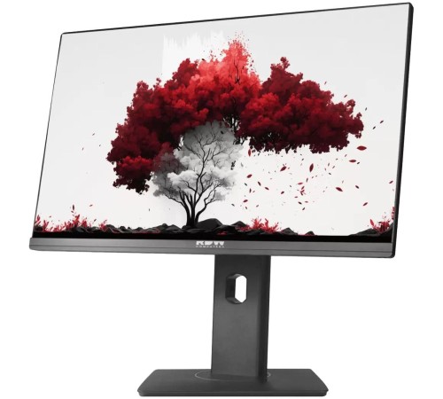 Монитор РДВ ТЕХНОЛОДЖИ RDW2402K/F13B360V2A1 Монитор РДВ ТЕХНОЛОДЖИ RDW2402K/F13B360V2A1