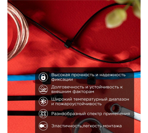 Rexant (07-1303) Хомут nylon 5.0 х 300 мм 100 шт черный Rexant (07-1303) Хомут nylon 5.0 х 300 мм 100 шт черный