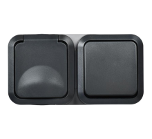 Блок ОП розетка + выключ. горизонт. TORS 16А IP55 TS142 графит IEK TS-G10-6-55-V-K53