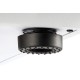 Проигрыватель виниловых дисков Phaze Audio Diana Цвет: Белый [Siberian white]