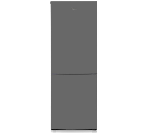 Холодильник B-W6133 BIRYUSA