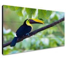 ЖК-панель для видеостен Exell EXPD-WA55AB05 55"