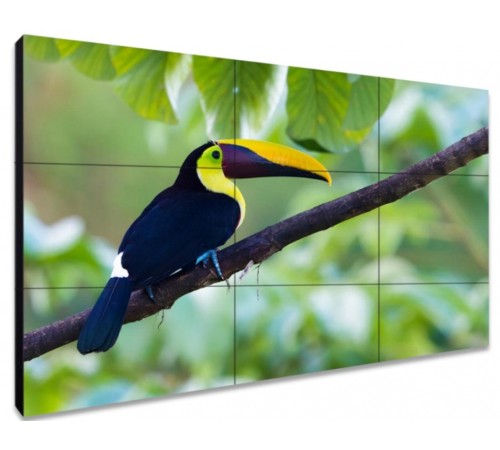 ЖК-панель для видеостен Exell EXPD-WA55AB15 55"