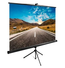 Экран Cactus 160x160см TriExpert CS-PSTE-160x160-BK 1:1 напольный рулонный черный