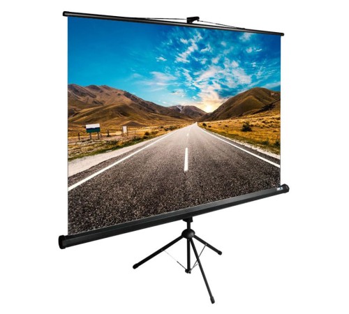 Экран Cactus 160x160см TriExpert CS-PSTE-160x160-BK 1:1 напольный рулонный черный Экран Cactus 160x160см TriExpert CS-PSTE-160x160-BK 1:1 напольный рулонный черный