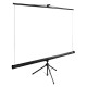 Экран Cactus 160x160см TriExpert CS-PSTE-160x160-BK 1:1 напольный рулонный черный