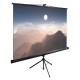 Экран Cactus 180x180см TriExpert CS-PSTE-180x180-BK 1:1 напольный рулонный черный