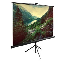 Экран Cactus 220x220см TriExpert CS-PSTE-220x220-BK 1:1 напольный рулонный черный