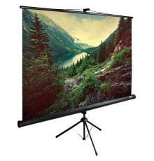 Экран Cactus 220x220см TriExpert CS-PSTE-220x220-BK 1:1 напольный рулонный черный