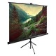 Экран Cactus 220x220см TriExpert CS-PSTE-220x220-BK 1:1 напольный рулонный черный