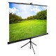 Экран Cactus 150x200см TriExpert CS-PSTE-200x150-BK 4:3 напольный рулонный черный