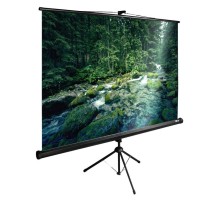 Экран Cactus 165x220см TriExpert CS-PSTE-220x165-BK 4:3 напольный рулонный черный