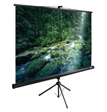 Экран Cactus 165x220см TriExpert CS-PSTE-220x165-BK 4:3 напольный рулонный черный