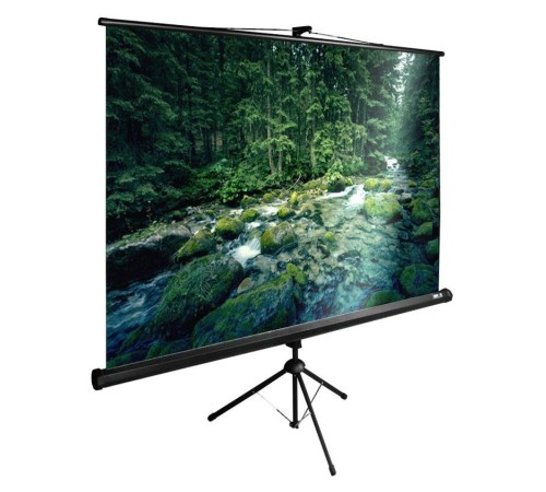 Экран Cactus 165x220см TriExpert CS-PSTE-220x165-BK 4:3 напольный рулонный черный Экран Cactus 165x220см TriExpert CS-PSTE-220x165-BK 4:3 напольный рулонный черный