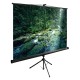 Экран Cactus 165x220см TriExpert CS-PSTE-220x165-BK 4:3 напольный рулонный черный