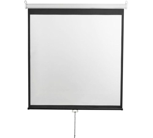 Экран 200x200см Digis Optimal-D DSOD-1105 1:1 настенно-потолочный рулонный Экран 200x200см Digis Optimal-D DSOD-1105 1:1 настенно-потолочный рулонный