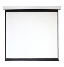 Экран 213x213см Digis Electra-F DSEF-1107 1:1 настенно-потолочный рулонный (моторизованный привод)