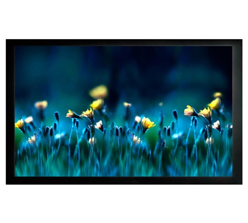 Экран на раме Cactus 113x200см FrameExpert CS-PSFRE-200X113 16:9 настенный натяжной Экран на раме Cactus 113x200см FrameExpert CS-PSFRE-200X113 16:9 настенный натяжной