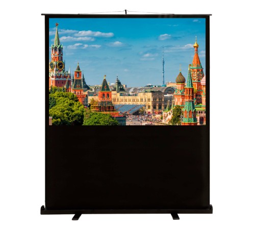 Экран Cactus 150x200см FloorCompactExpert CS-PSFLCE-200X150 4:3 напольный рулонный Экран Cactus 150x200см FloorCompactExpert CS-PSFLCE-200X150 4:3 напольный рулонный