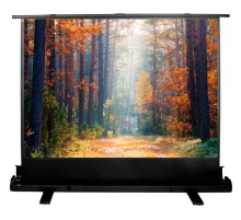 Экран Cactus 135x180см FloorExpert CS-PSFLE-180X135 4:3 напольный рулонный