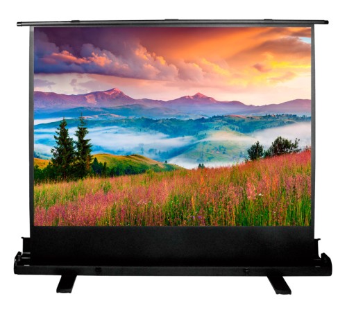 Экран Cactus 68x120см FloorExpert CS-PSFLE-120X68 16:9 напольный рулонный Экран Cactus 68x120см FloorExpert CS-PSFLE-120X68 16:9 напольный рулонный