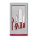 Набор ножей кухон. Victorinox Swiss Classic 6.7131.4G компл.:4предм. красный подар.коробка