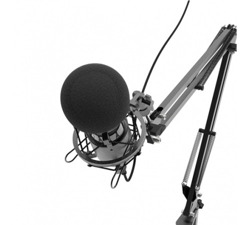 Микрофон проводной Ritmix RDM-180 2.5м черный Микрофон проводной Ritmix RDM-180 2.5м черный