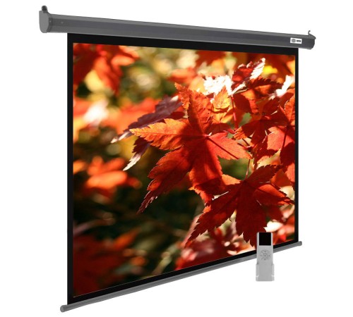 Экран Cactus 150x200см SIlverMotoExpert CS-PSSME-200X150-DG 4:3 настенно-потолочный рулонный темно-серый (моторизованный привод) Экран Cactus 150x200см SIlverMotoExpert CS-PSSME-200X150-DG 4:3 настенно-потолочный рулонный темно-серый (моторизованный привод)