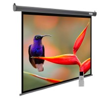 Экран Cactus 138x220см SIlverMotoExpert CS-PSSME-220X138-DG 16:10 настенно-потолочный рулонный тёмно-серый (моторизованный привод)