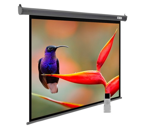 Экран Cactus 138x220см SIlverMotoExpert CS-PSSME-220X138-DG 16:10 настенно-потолочный рулонный тёмно-серый (моторизованный привод) Экран Cactus 138x220см SIlverMotoExpert CS-PSSME-220X138-DG 16:10 настенно-потолочный рулонный тёмно-серый (моторизованный привод)