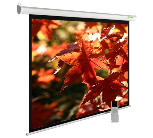Экран Cactus 150x200см SIlverMotoExpert CS-PSSME-200X150-WT 4:3 настенно-потолочный рулонный белый (моторизованный привод) Экран Cactus 150x200см SIlverMotoExpert CS-PSSME-200X150-WT 4:3 настенно-потолочный рулонный белый (моторизованный привод)