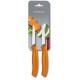 Набор ножей кухон. Victorinox Swiss Classic 6.7606.L119B компл.:2предм. оранжевый блистер
