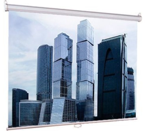Экран Lumien 206x274см Eco Picture LEP-100115 4:3 настенно-потолочный рулонный Экран Lumien 206x274см Eco Picture LEP-100115 4:3 настенно-потолочный рулонный