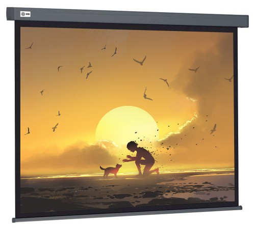 Экран Cactus 124.5x221см Wallscreen CS-PSW-124X221-SG 16:9 настенно-потолочный рулонный серый Экран Cactus 124.5x221см Wallscreen CS-PSW-124X221-SG 16:9 настенно-потолочный рулонный серый