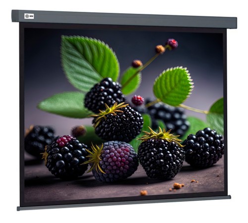Экран Cactus 127x127см Wallscreen CS-PSW-127X127-SG 1:1 настенно-потолочный рулонный серый Экран Cactus 127x127см Wallscreen CS-PSW-127X127-SG 1:1 настенно-потолочный рулонный серый
