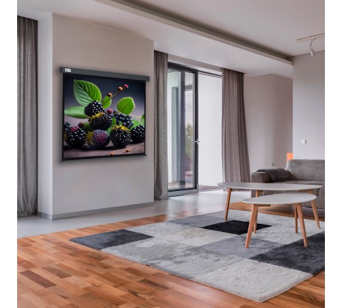 Экран Cactus 127x127см Wallscreen CS-PSW-127X127-SG 1:1 настенно-потолочный рулонный серый Экран Cactus 127x127см Wallscreen CS-PSW-127X127-SG 1:1 настенно-потолочный рулонный серый