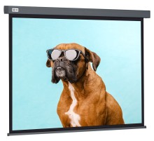 Экран Cactus 149.4x265.7см Wallscreen CS-PSW-149X265-SG 16:9 настенно-потолочный рулонный серый